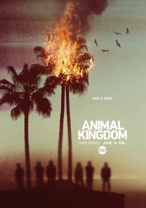 GIF uploaded by Mike