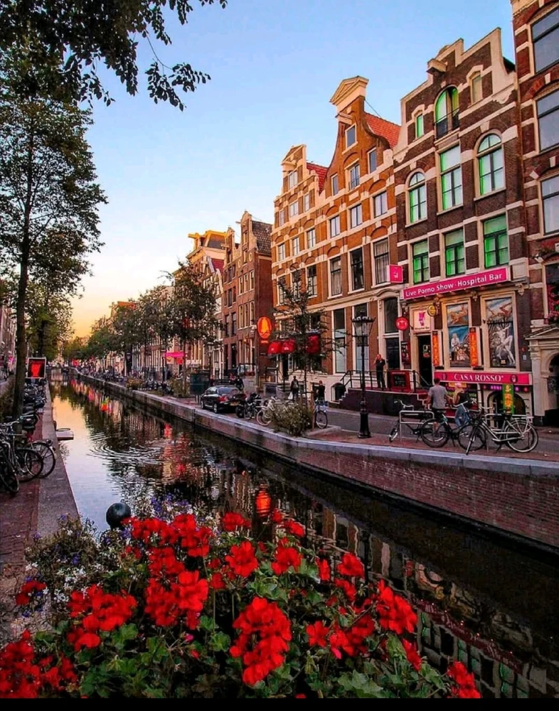 GIF uploaded by Selman