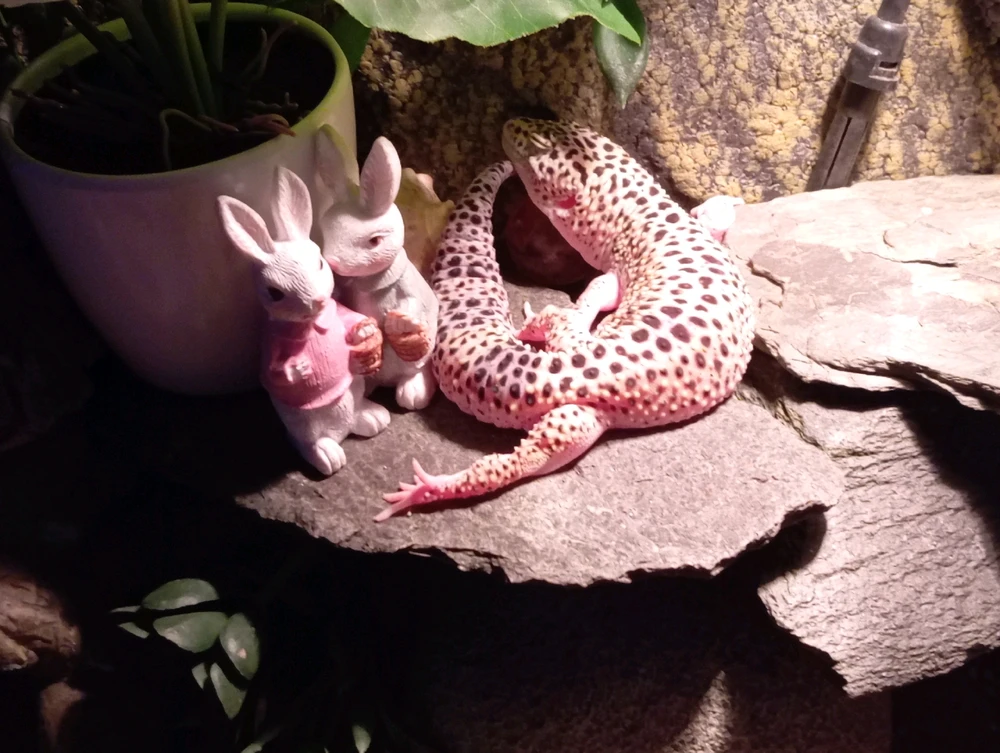 GIF hochgeladen von Danica_NightDream