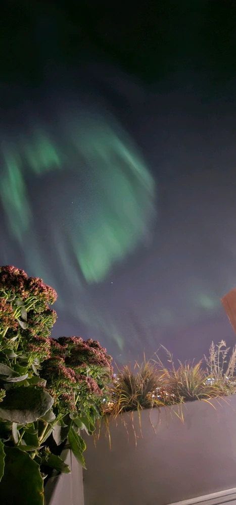 Calgary Aurora 