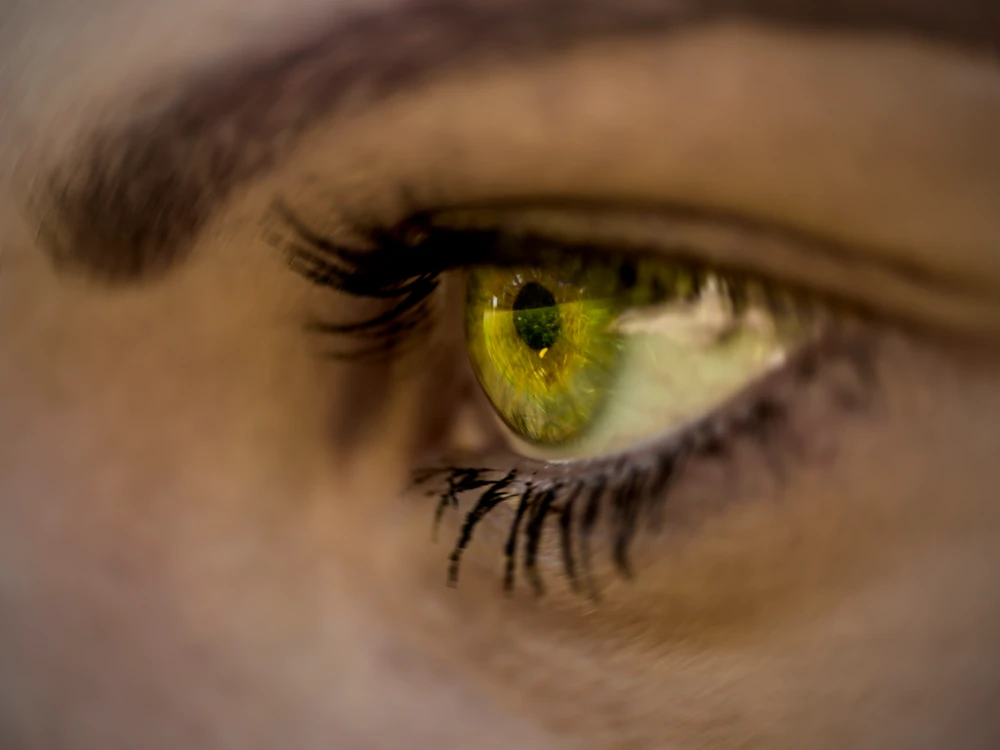 Fotku nahral/-a Dušan