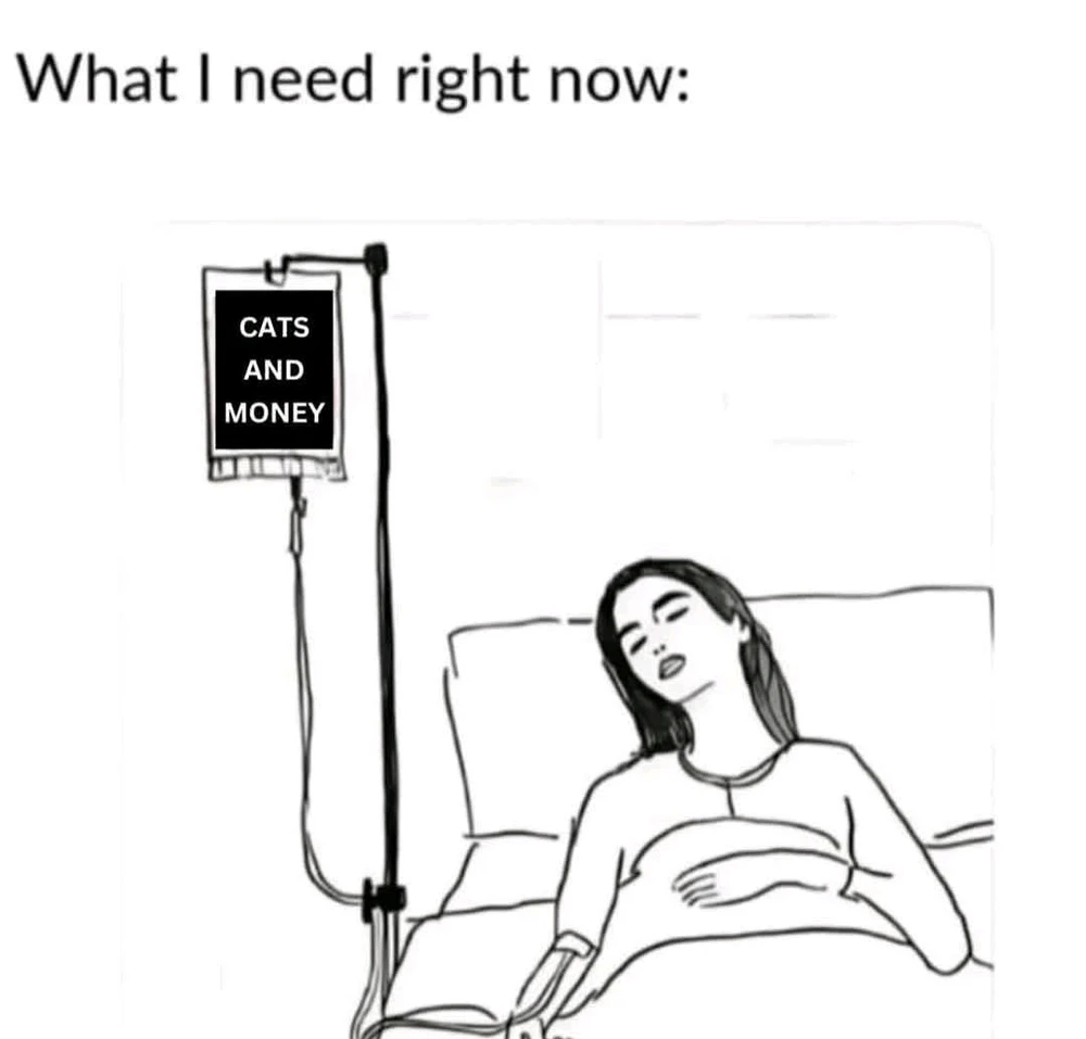 GIF uploaded by Dominic