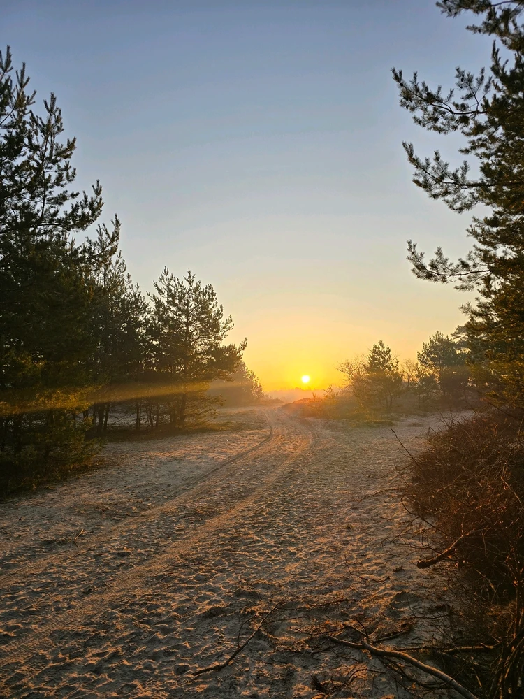 Гіфку завантажив Олександр