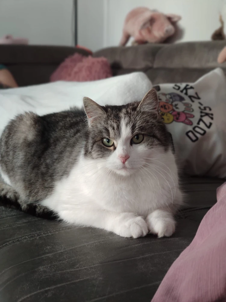 GIF hochgeladen von Christina