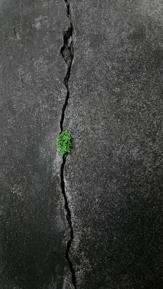 GIF được Boong tải lên