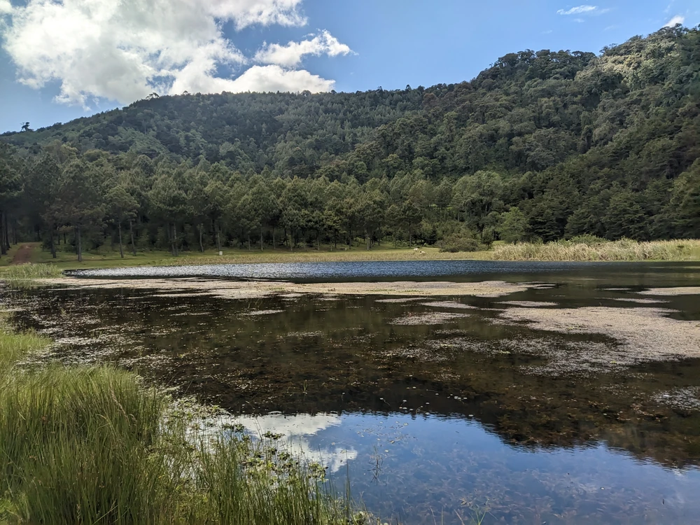 Imagen subida por Darvin