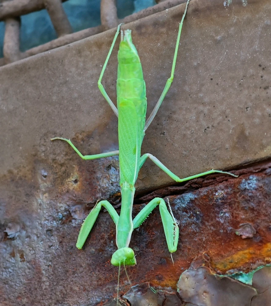 Зображення завантажив Андрій