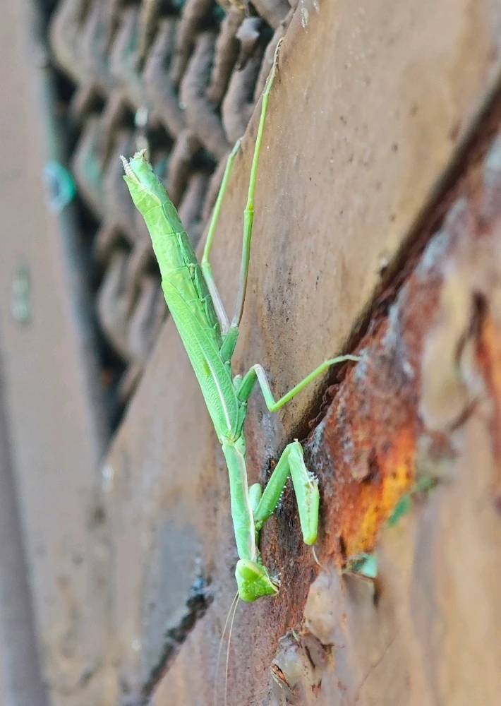 Зображення завантажив Андрій