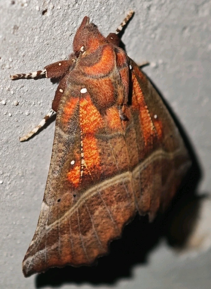 Зображення завантажив Андрій