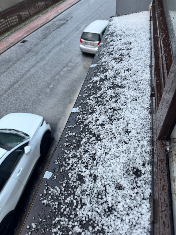 GIF nahrál Bubonic Bobo