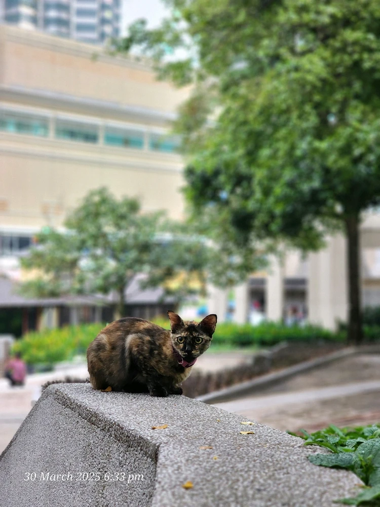 Image uploaded by @louischiok