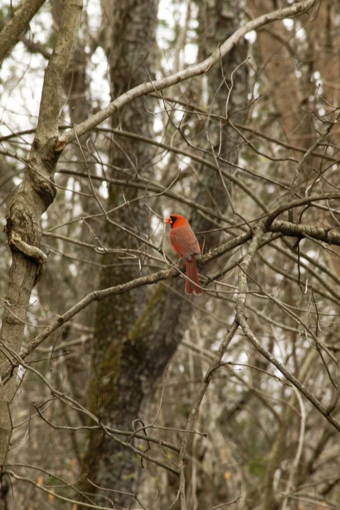 Image uploaded by Veronica