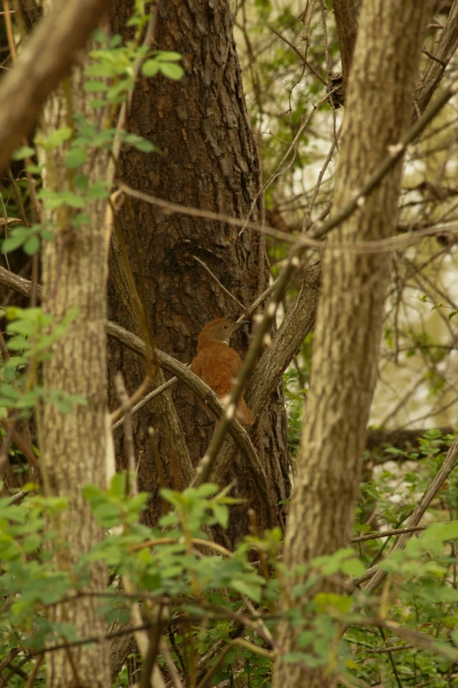 Image uploaded by Veronica