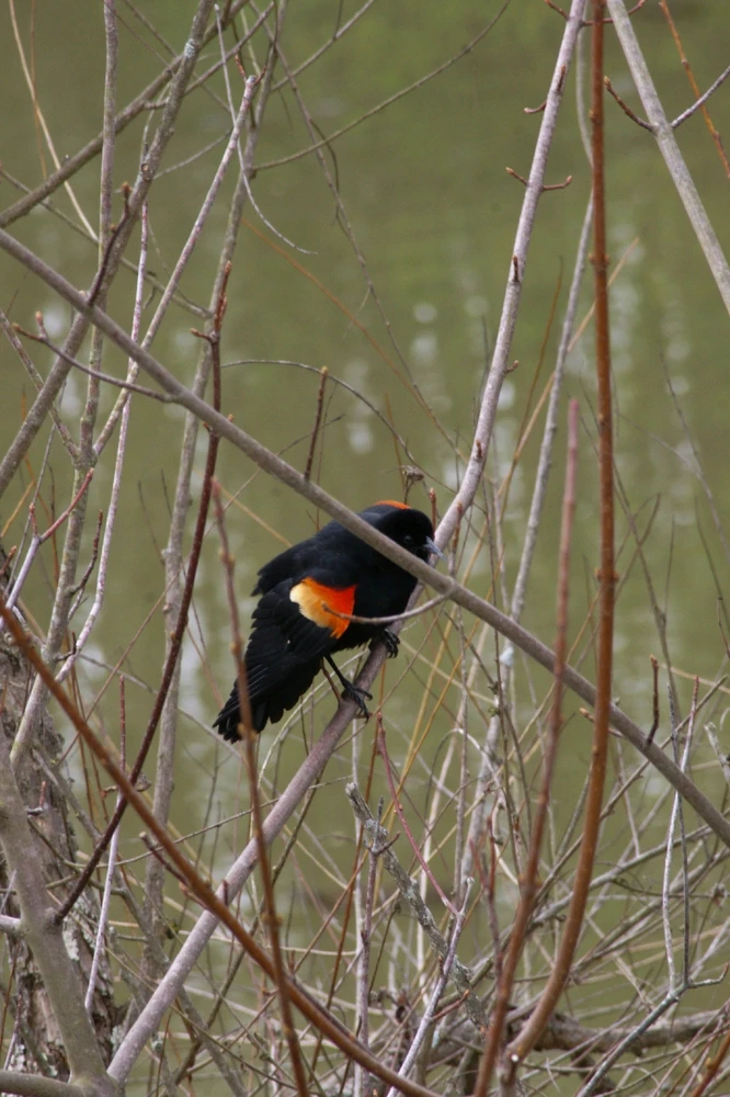 Image uploaded by Veronica