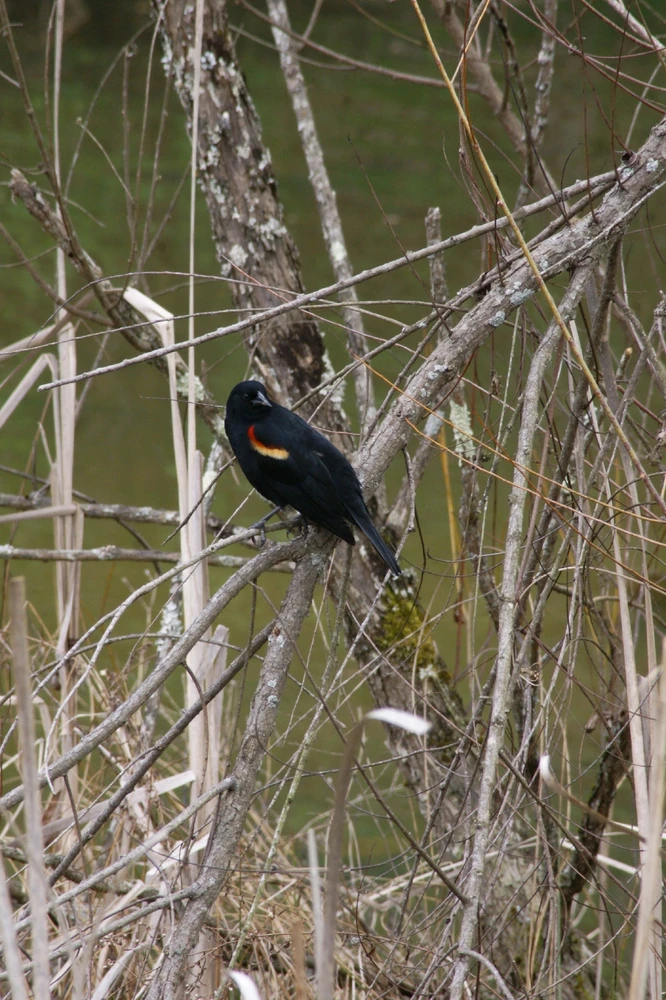 Image uploaded by Veronica