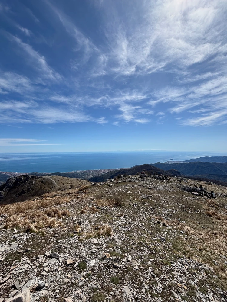 GIF caricata da Nicola