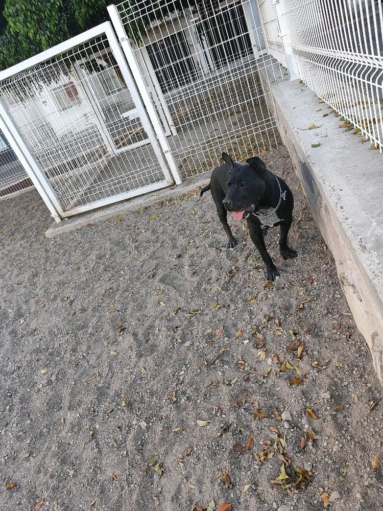 GIF subido por Brandon