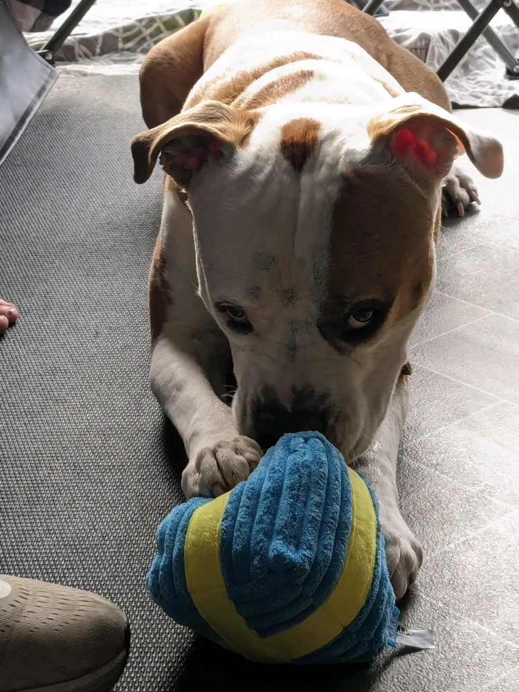Image uploaded by Helyon