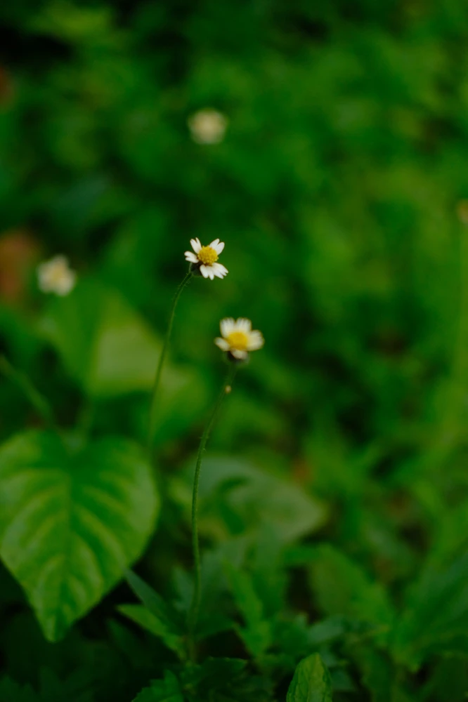 Image uploaded by Alo