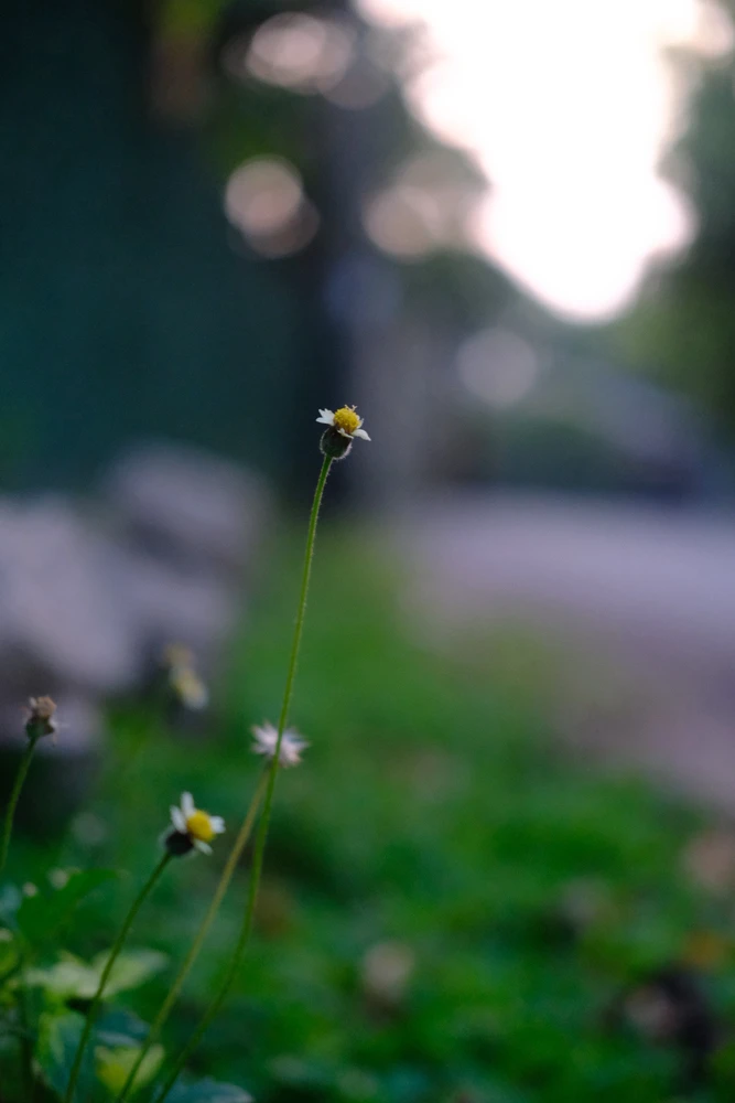 Image uploaded by Alo