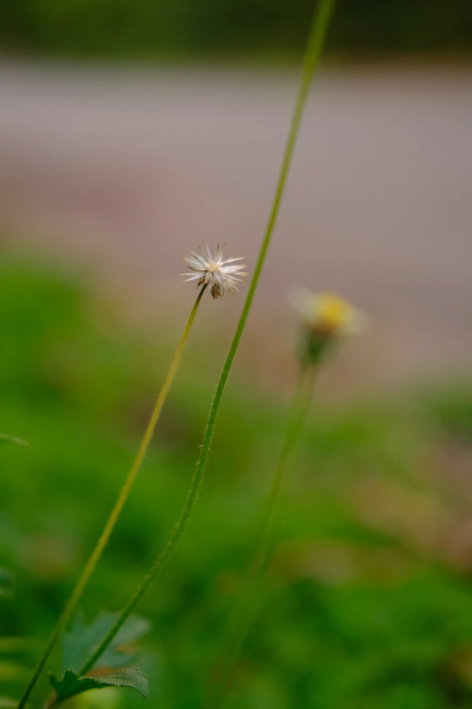 Image uploaded by Alo