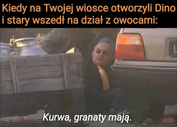 Granat właściwy, granatowiec właściwy (Punica granatum L.)