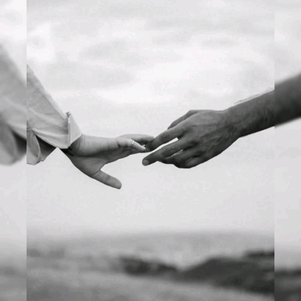 GIF ajouté par Dominique