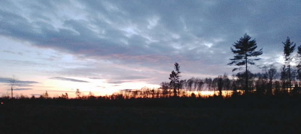 Image uploaded by Halvdan (Read My Profile)