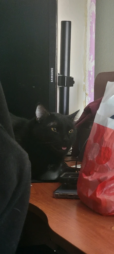 Imagen subida por Eliasib