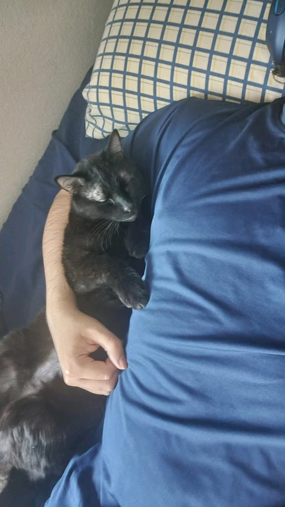 Imagen subida por Eliasib