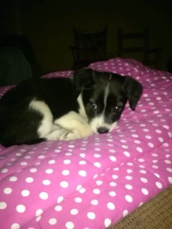 Image uploaded by Daniel