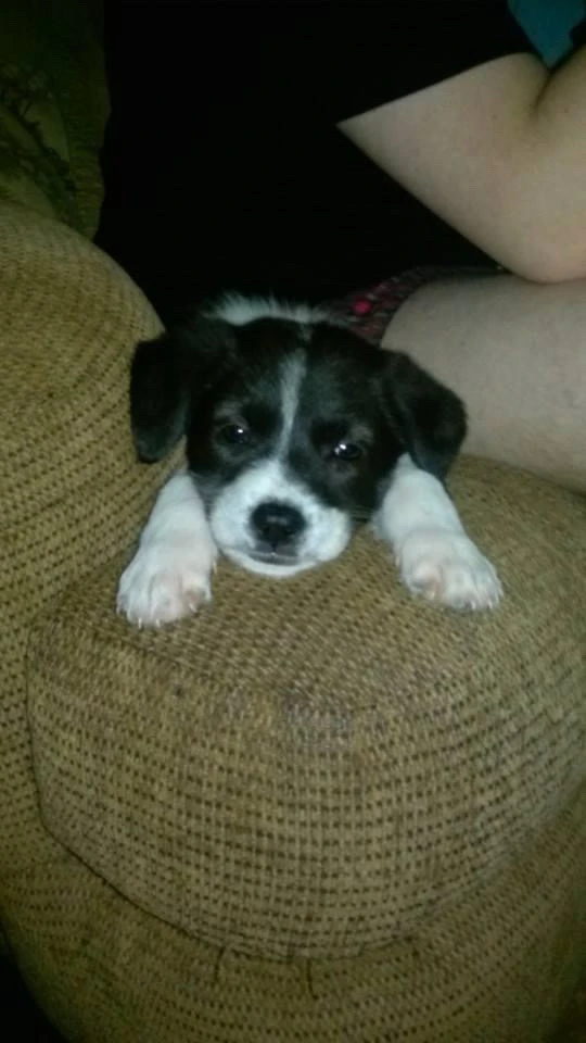 Image uploaded by Daniel