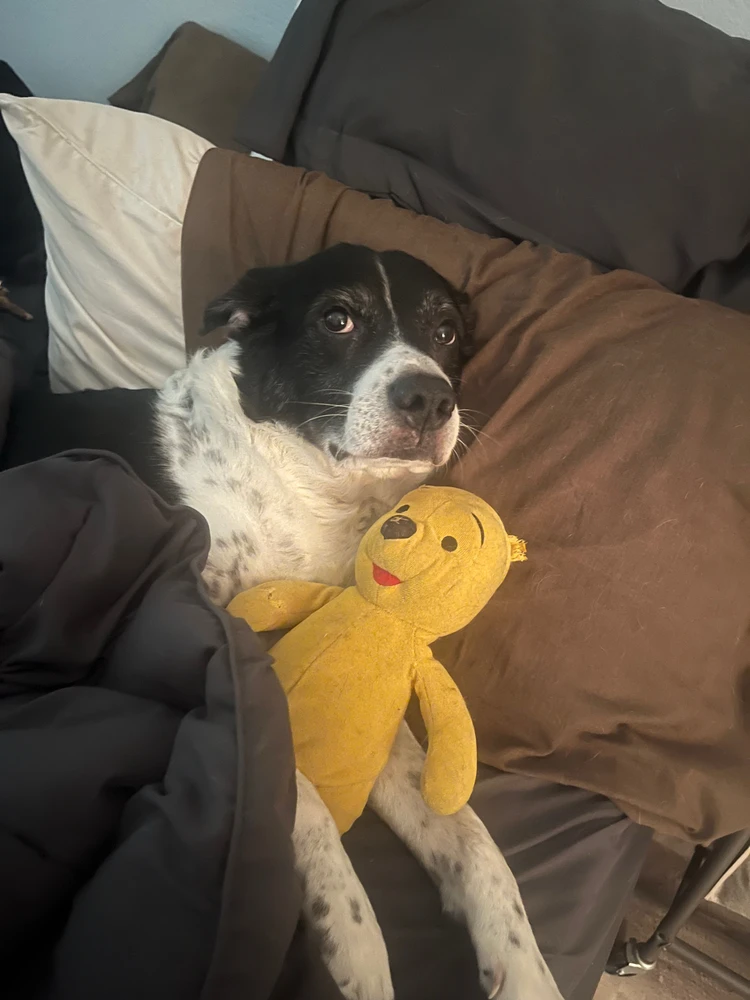 Image uploaded by Daniel