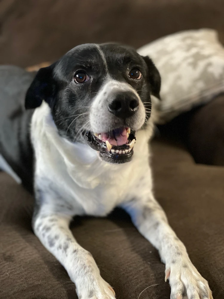 Image uploaded by Daniel