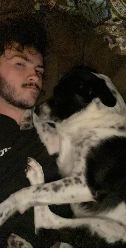 Image uploaded by Daniel