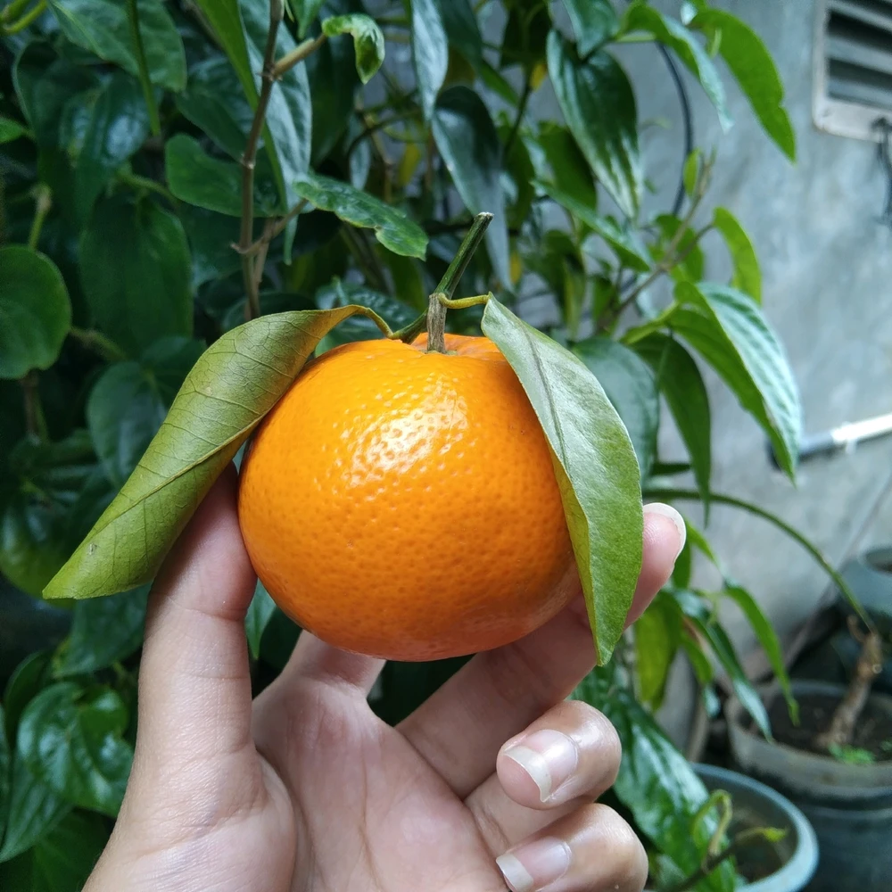 GIF diunggah oleh Alda