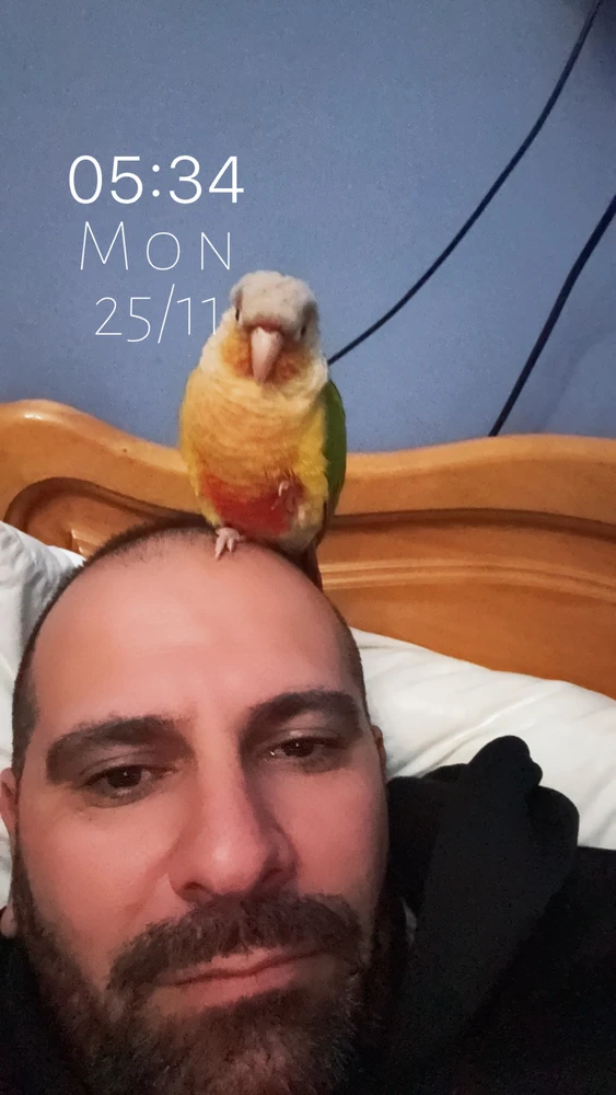 Gambar diunggah dening TifaRobert