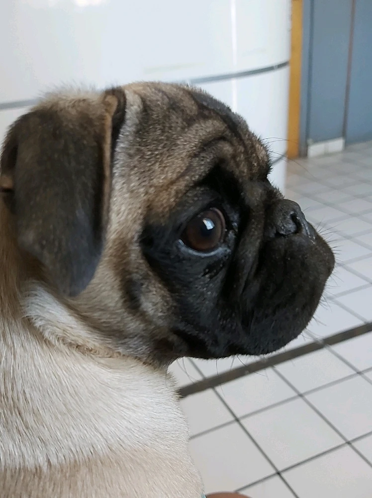 Imagen subida por JQ