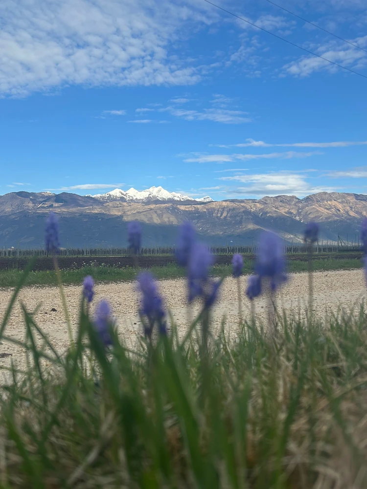 GIF enviado por Fabio