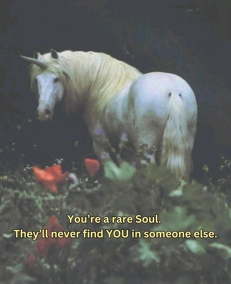 Гіфку завантажив Natalia🦇