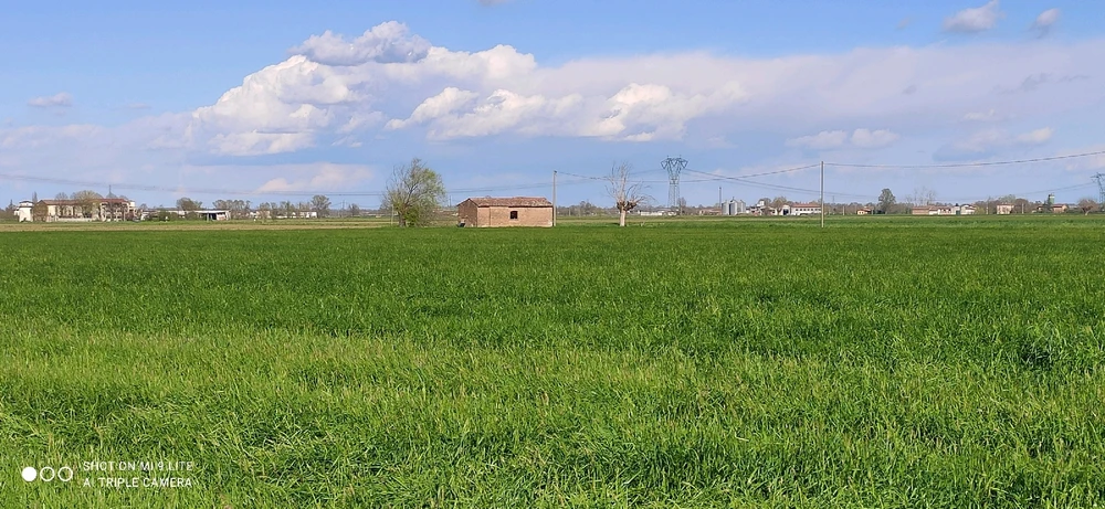 GIF caricata da Jgor