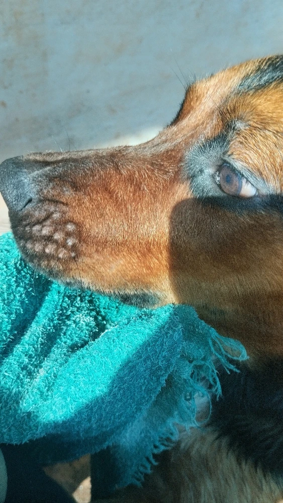 GIF enviado por Manu