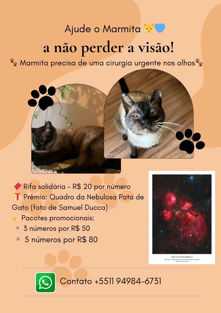 GIF uploaded by Yuki