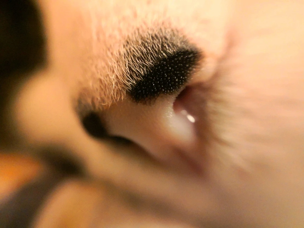 GIF dodany przez Adam