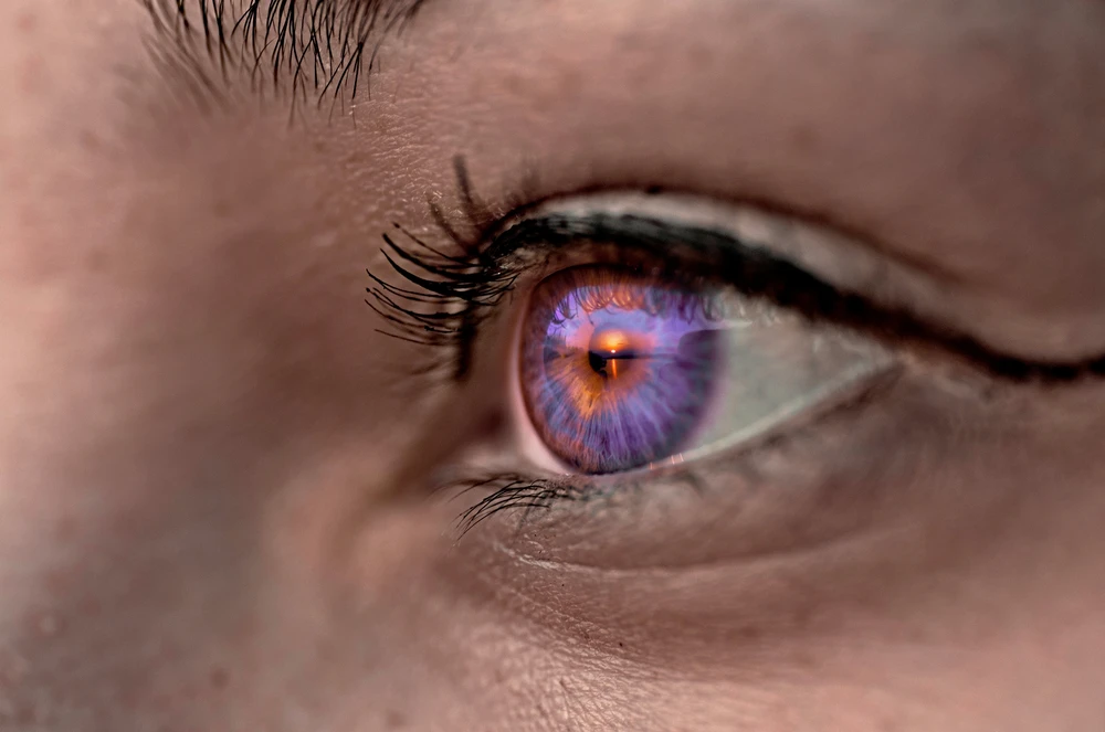 Fotku nahral/-a Dušan