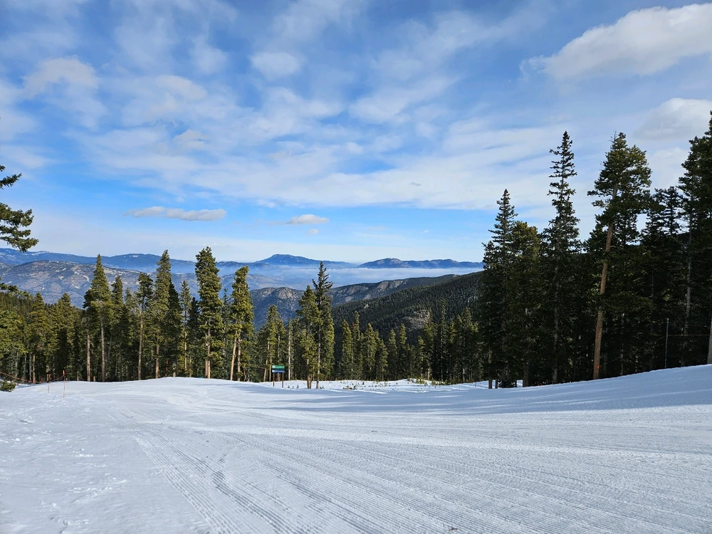 Image uploaded by Sean