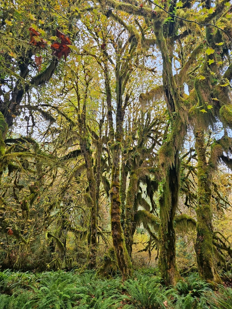 Image uploaded by Sean