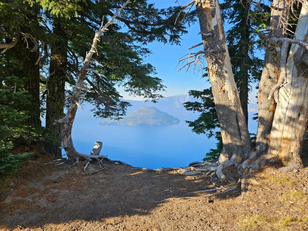 Image uploaded by Sean