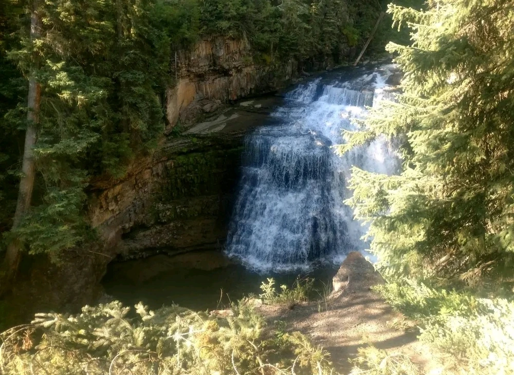 Image uploaded by Sean