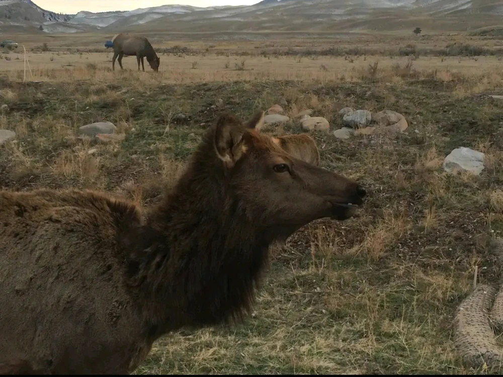 Image uploaded by Sean